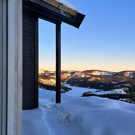 Family With In Out In Telemark *