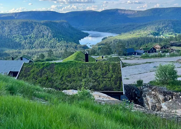 Family With In Out In Telemark Drangedal